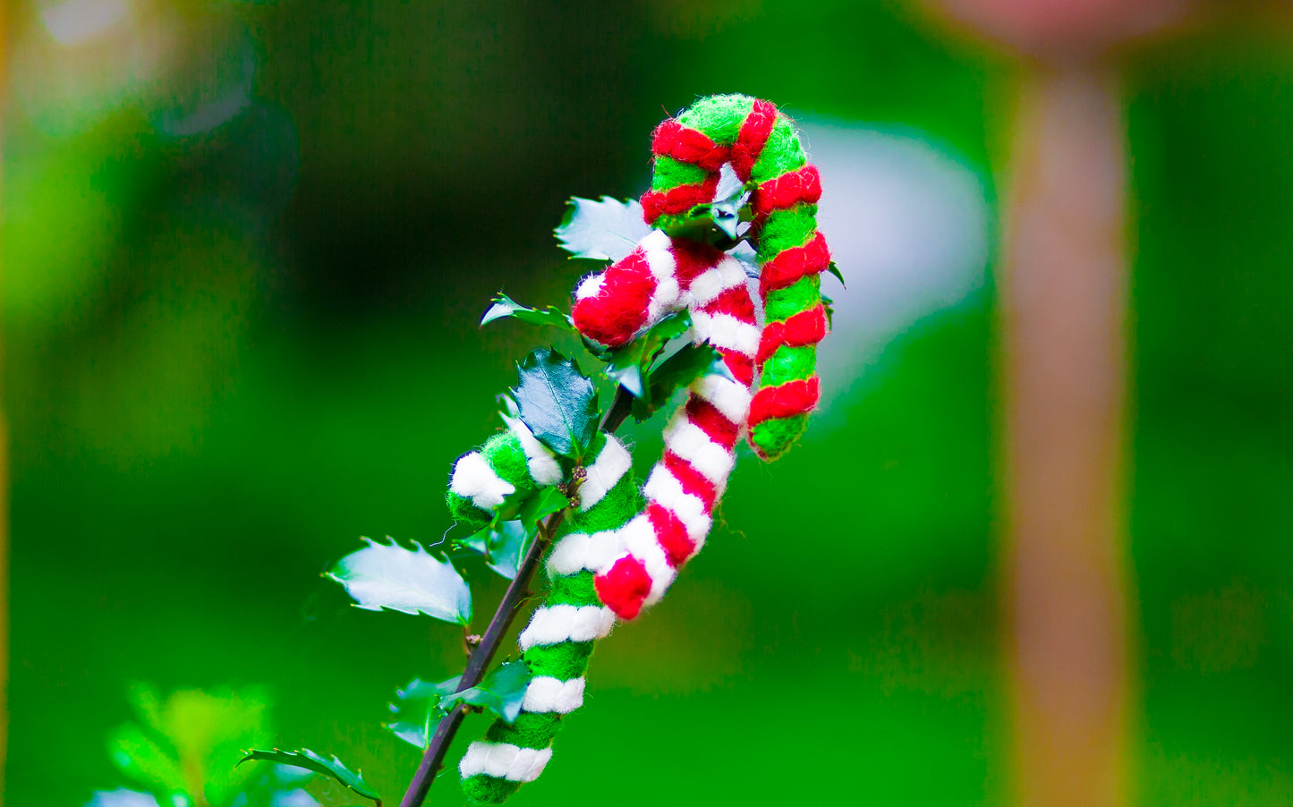 Karma Cat Felted Wool Candy Cane Christmas Cat Toy