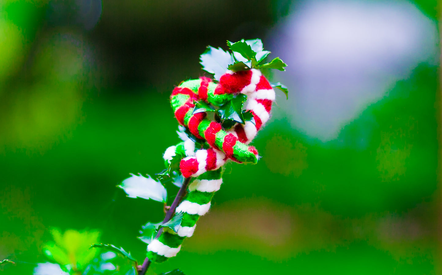 Karma Cat Felted Wool Candy Cane Christmas Cat Toy
