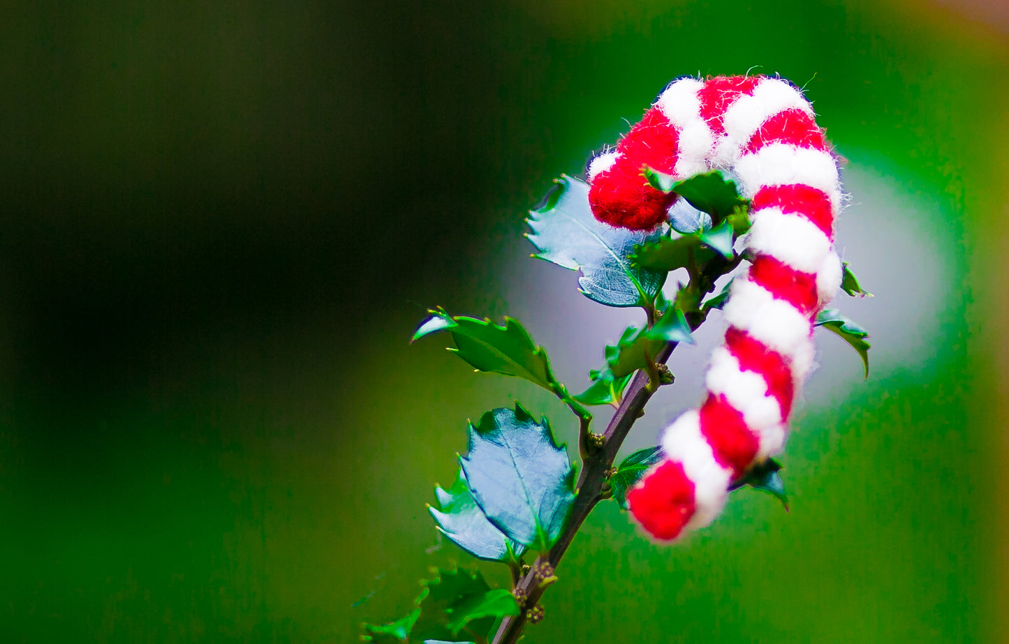 Karma Cat Felted Wool Candy Cane Christmas Cat Toy