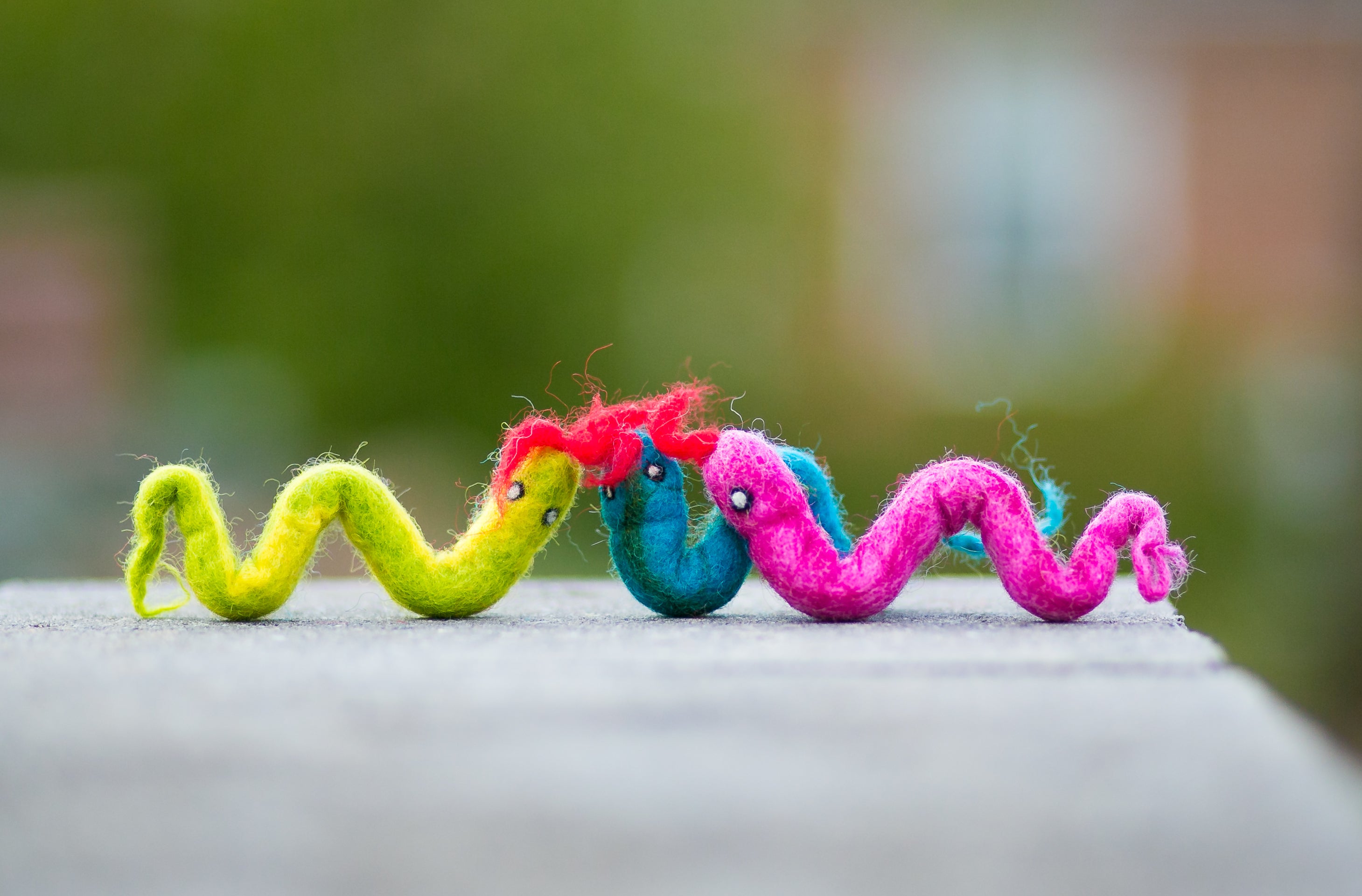 Felted wool cat toys sales