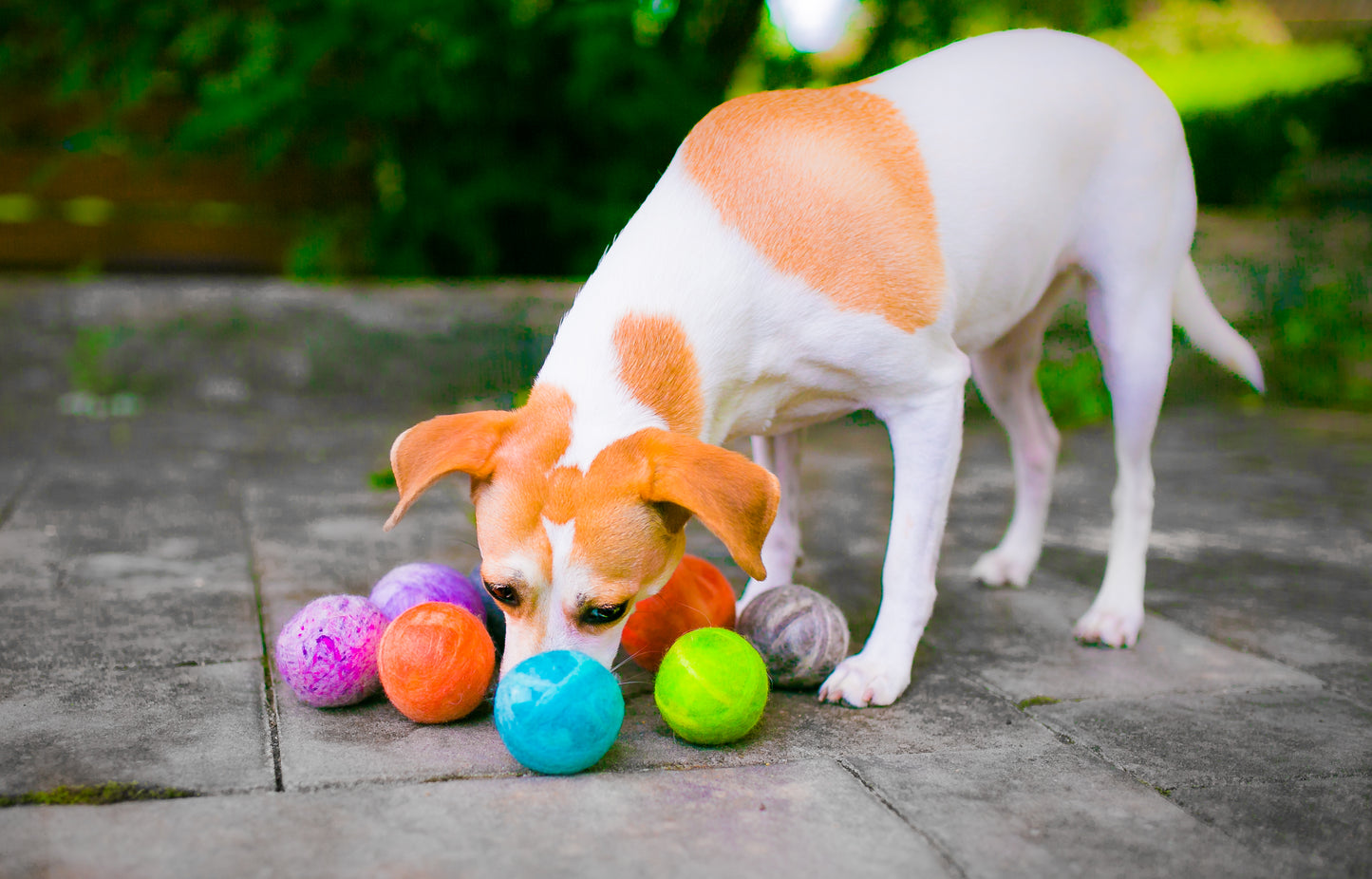 Fetch1.5!  Alpaca Dog Ball in Pink Tweed