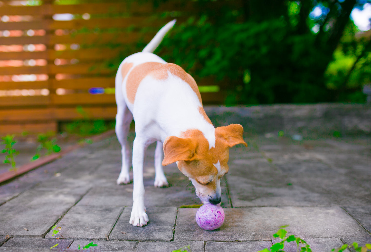 Fetch1.5!  Alpaca Dog Ball in Pink Tweed