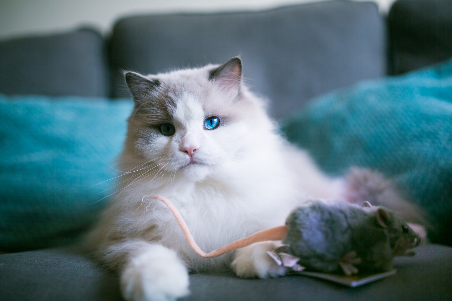 Hansa Stuffed Mouse