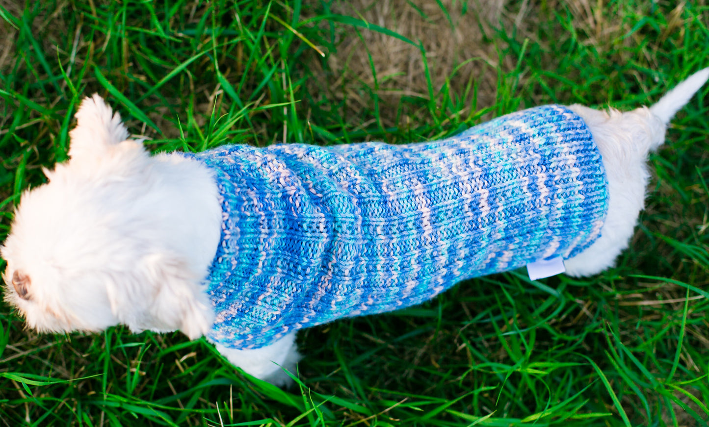 Cat & Dog Pet Sweaters in Jay Pond - VERY LIMITED QUANTITY AND LAST OF THIS COLORWAY!