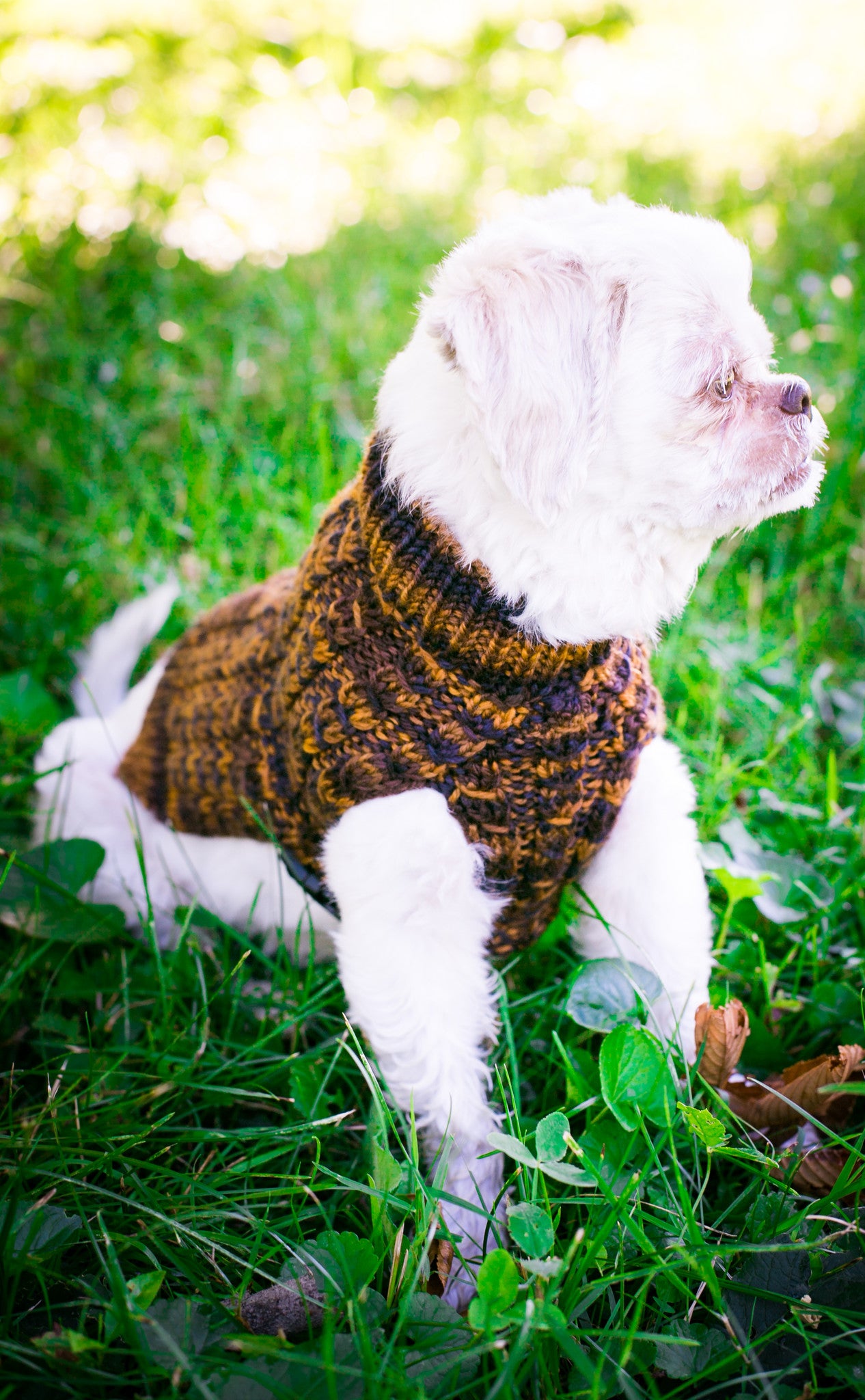 Cat & Dog Pet Sweaters in Safari - VERY LIMITED QUANTITY AND LAST OF THIS COLORWAY!