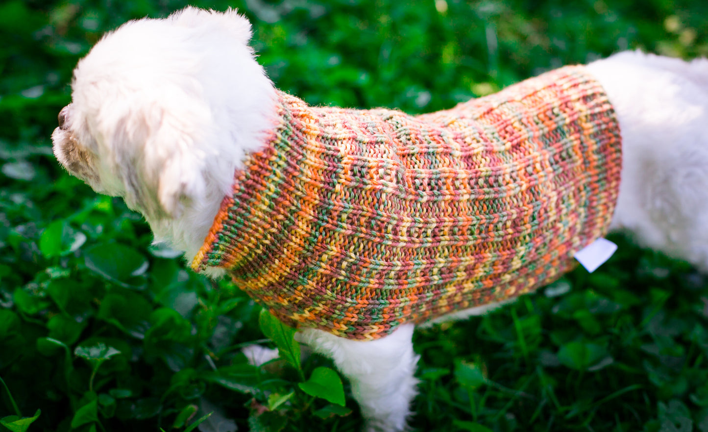 Cat & Dog Pet Sweaters in Glenwood