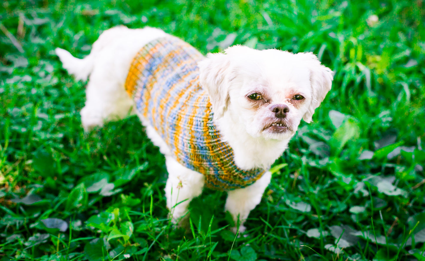 Cat & Dog Pet Sweaters in Lake Bluff - VERY LIMITED QUANTITY AND LAST OF THIS COLORWAY!