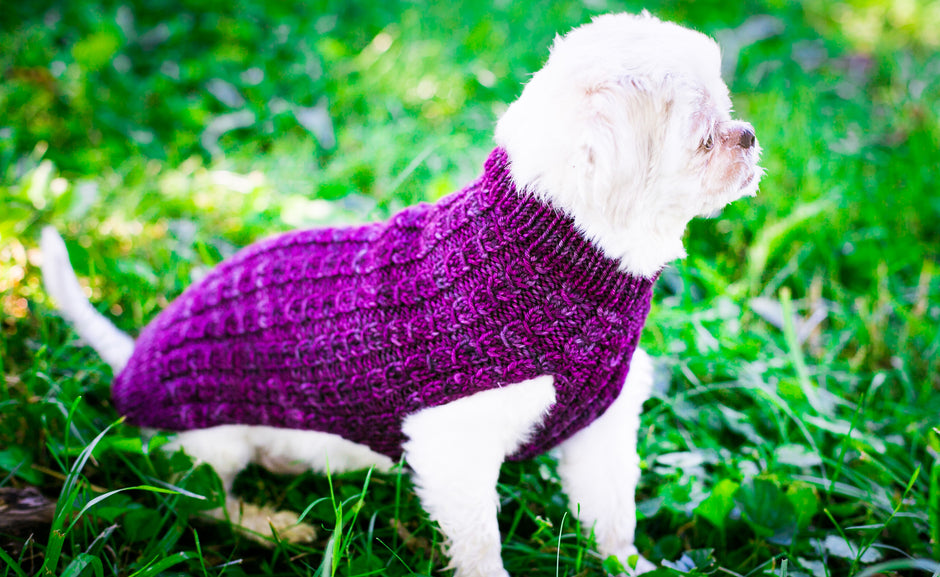 Pet Sweaters Sugarboy's