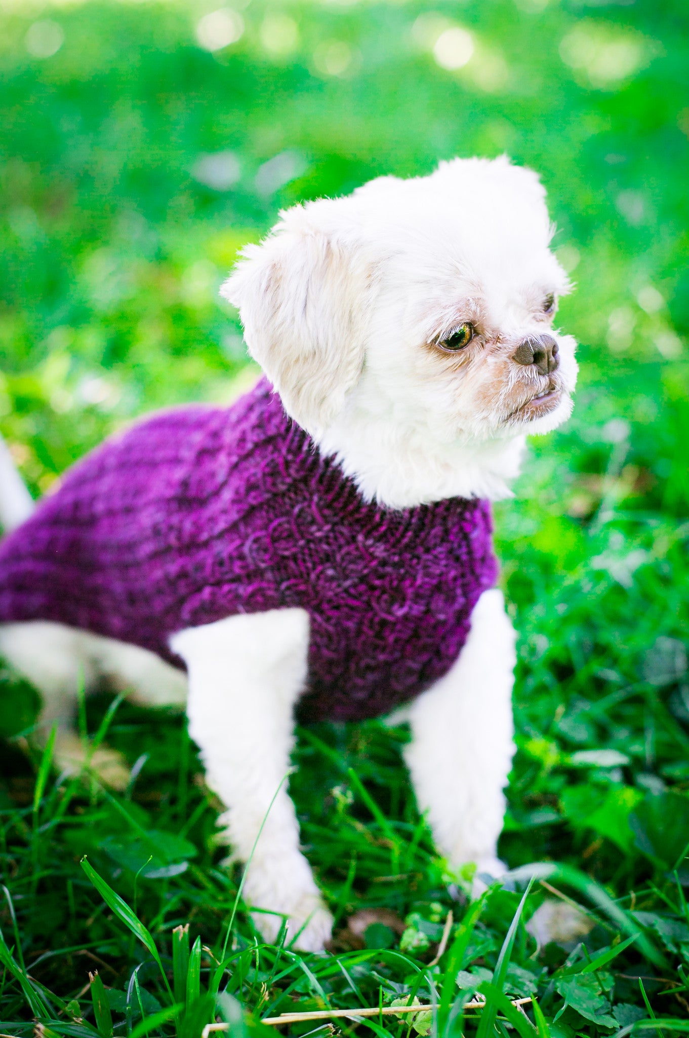 Cat & Dog Pet Sweaters in Blackberry LAST ONE!