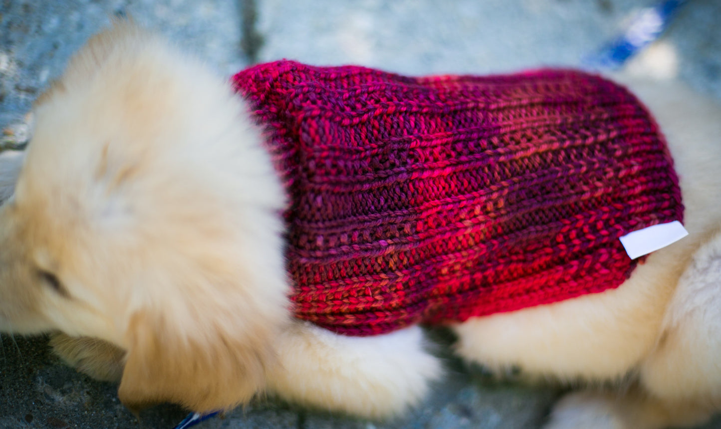 Cat & Dog Pet Sweaters in Red Rover LAST OF THIS COLORWAY!