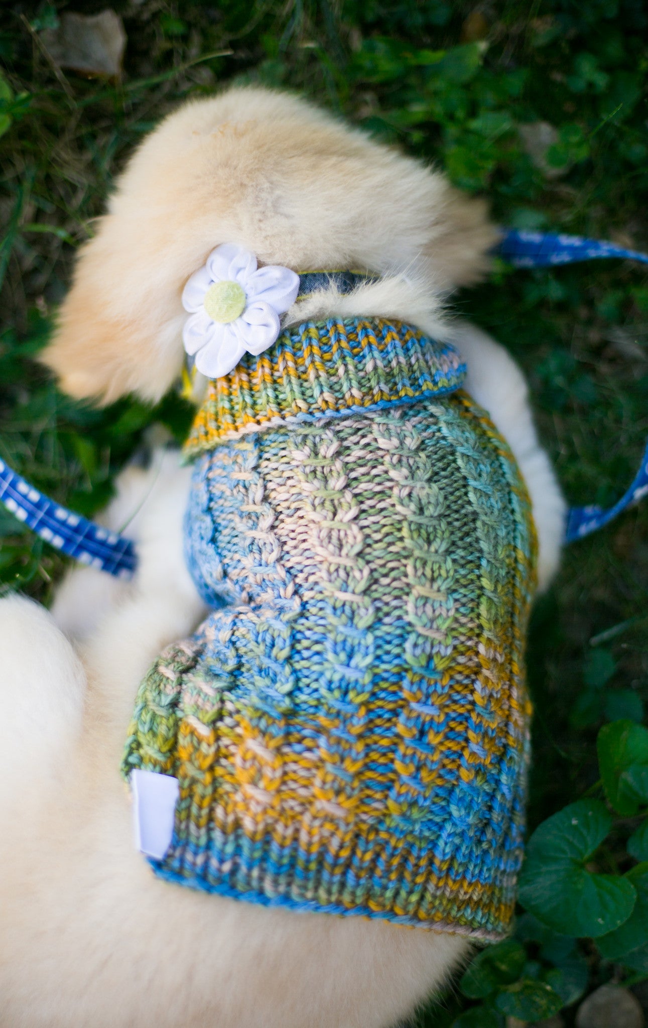 Cat & Dog Pet Sweaters in Lake Bluff - VERY LIMITED QUANTITY AND LAST OF THIS COLORWAY!