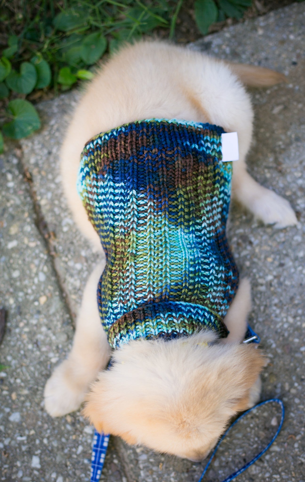 Cat & Dog Pet Sweaters in Edgewater - LAST OF THIS COLORWAY!
