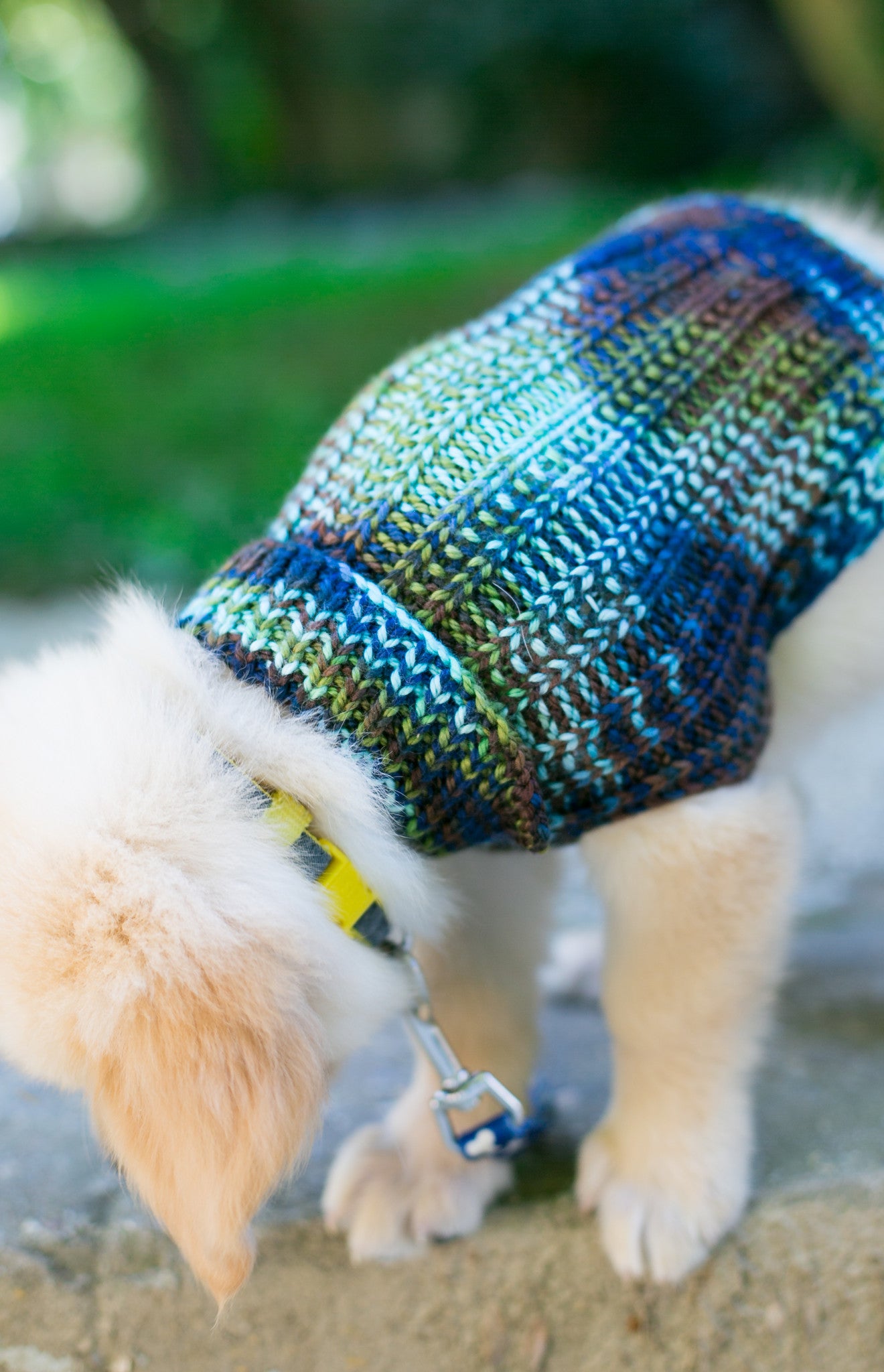 Cat & Dog Pet Sweaters in Edgewater - LAST OF THIS COLORWAY!