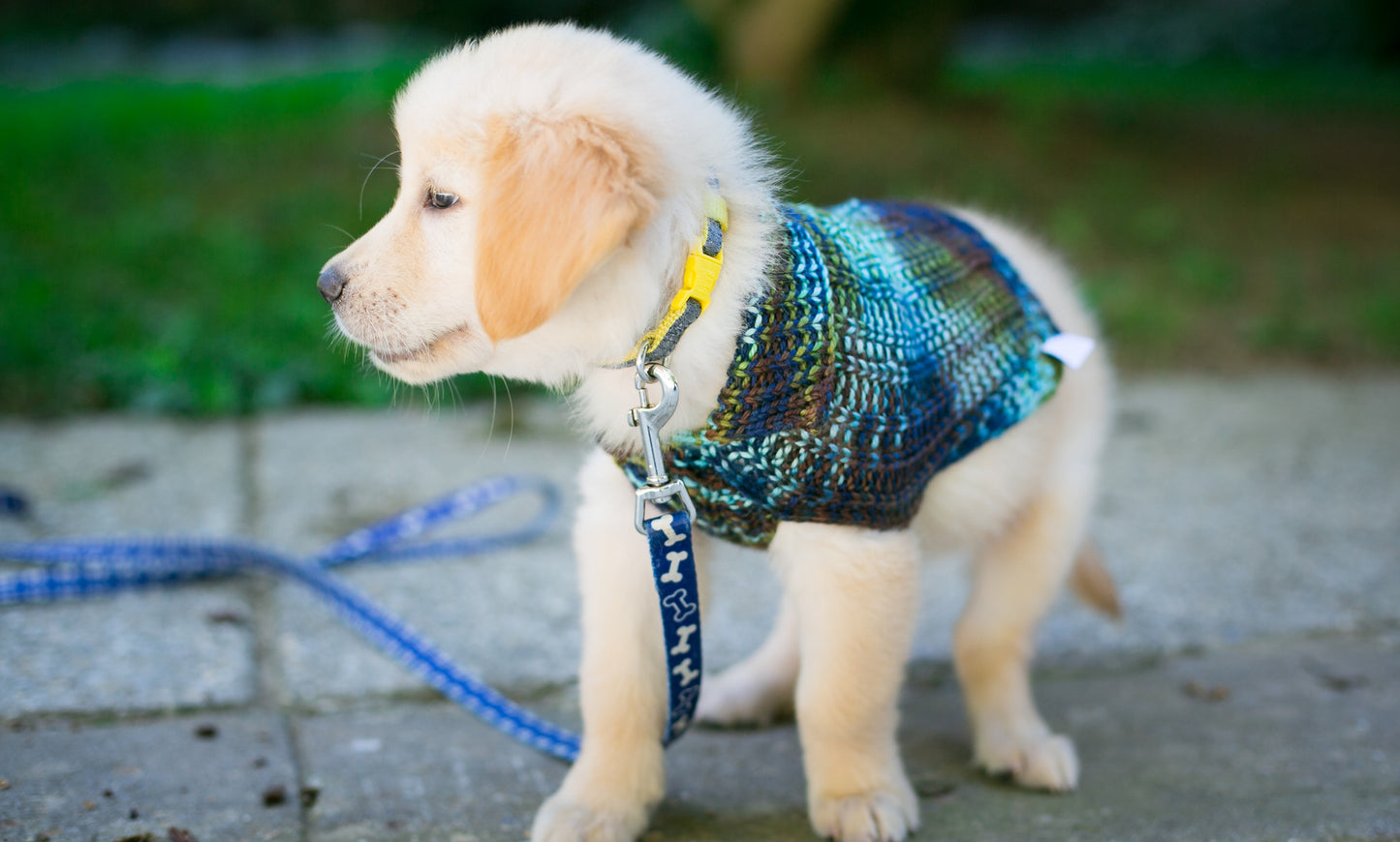 Cat & Dog Pet Sweaters in Edgewater - LAST OF THIS COLORWAY!