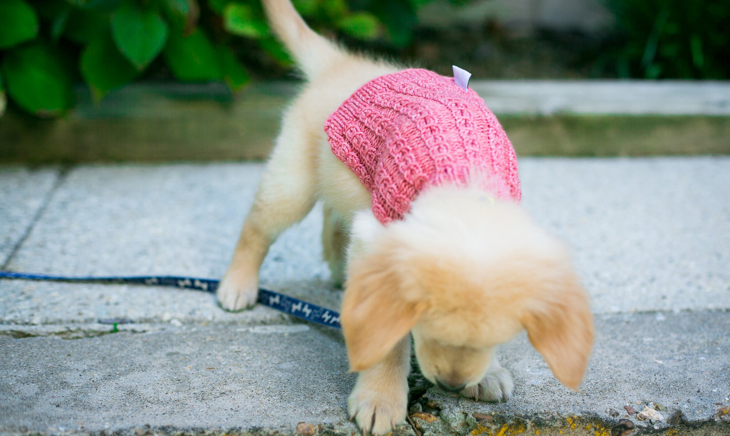 Cat & Dog Pet Sweaters in Pink Grapefruit