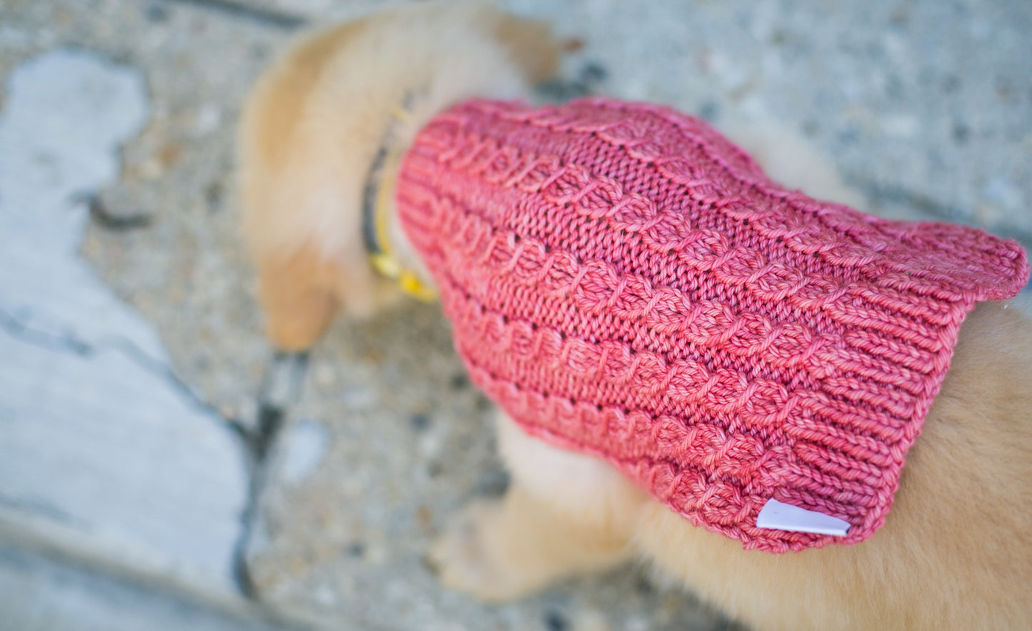 Cat & Dog Pet Sweaters in Pink Grapefruit