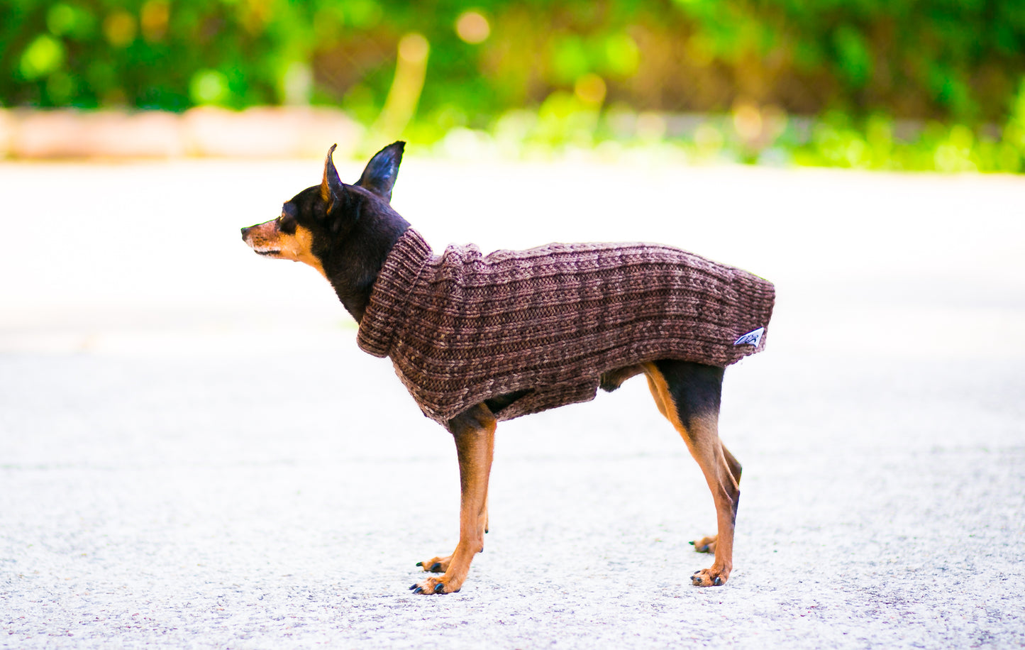 Cat & Dog Pet Sweaters in Mineshaft - LAST OF THIS COLORWAY!