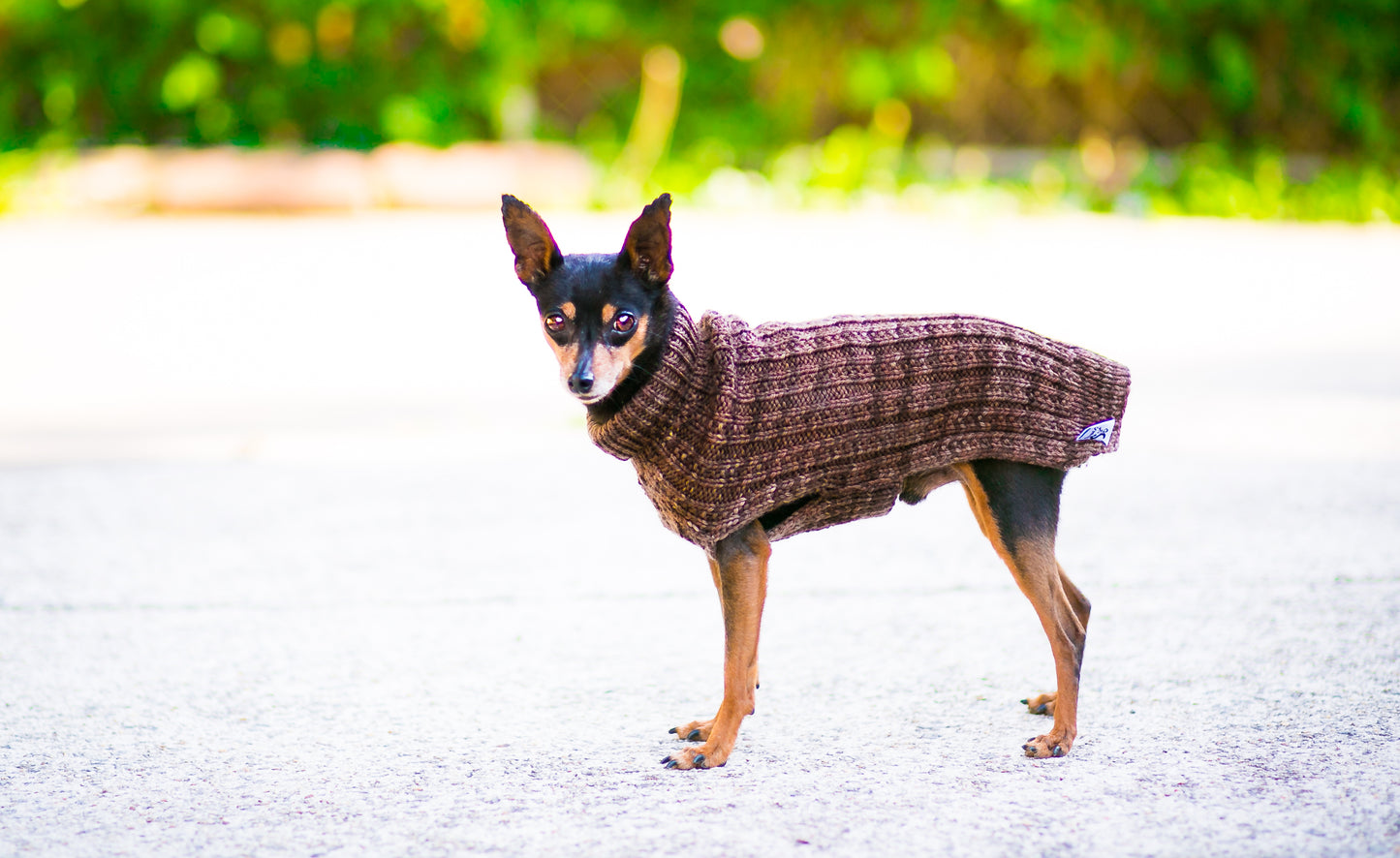 Cat & Dog Pet Sweaters in Mineshaft - LAST OF THIS COLORWAY!