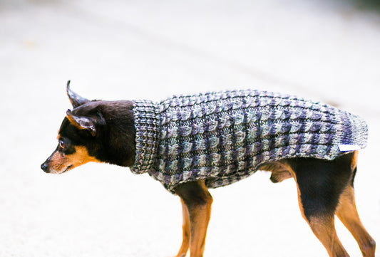 Cat & Dog Pet Sweaters in Pullman - LAST OF THIS COLORWAY!