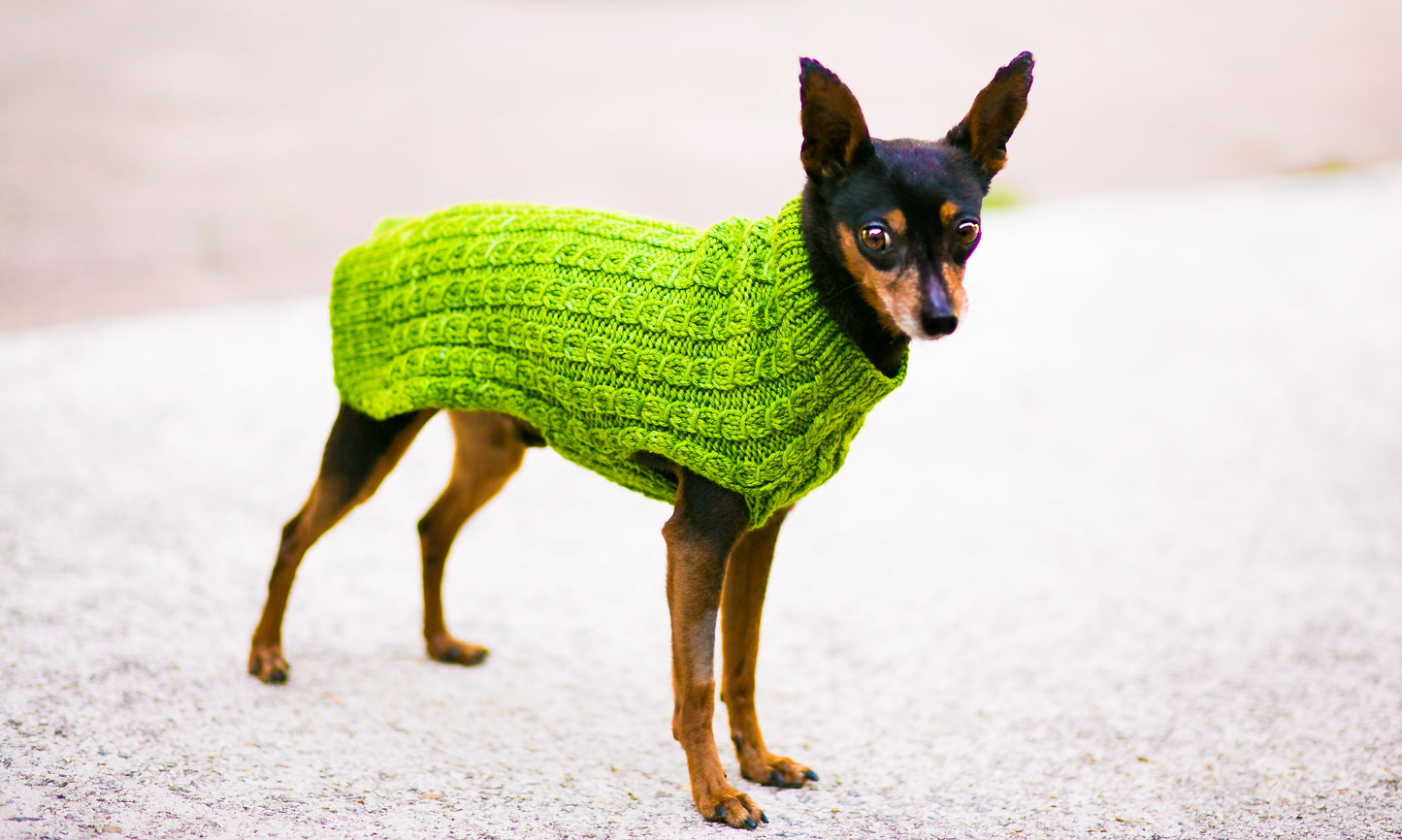 Cat & Dog Pet Sweaters in Basil LIMITED QUANTITY