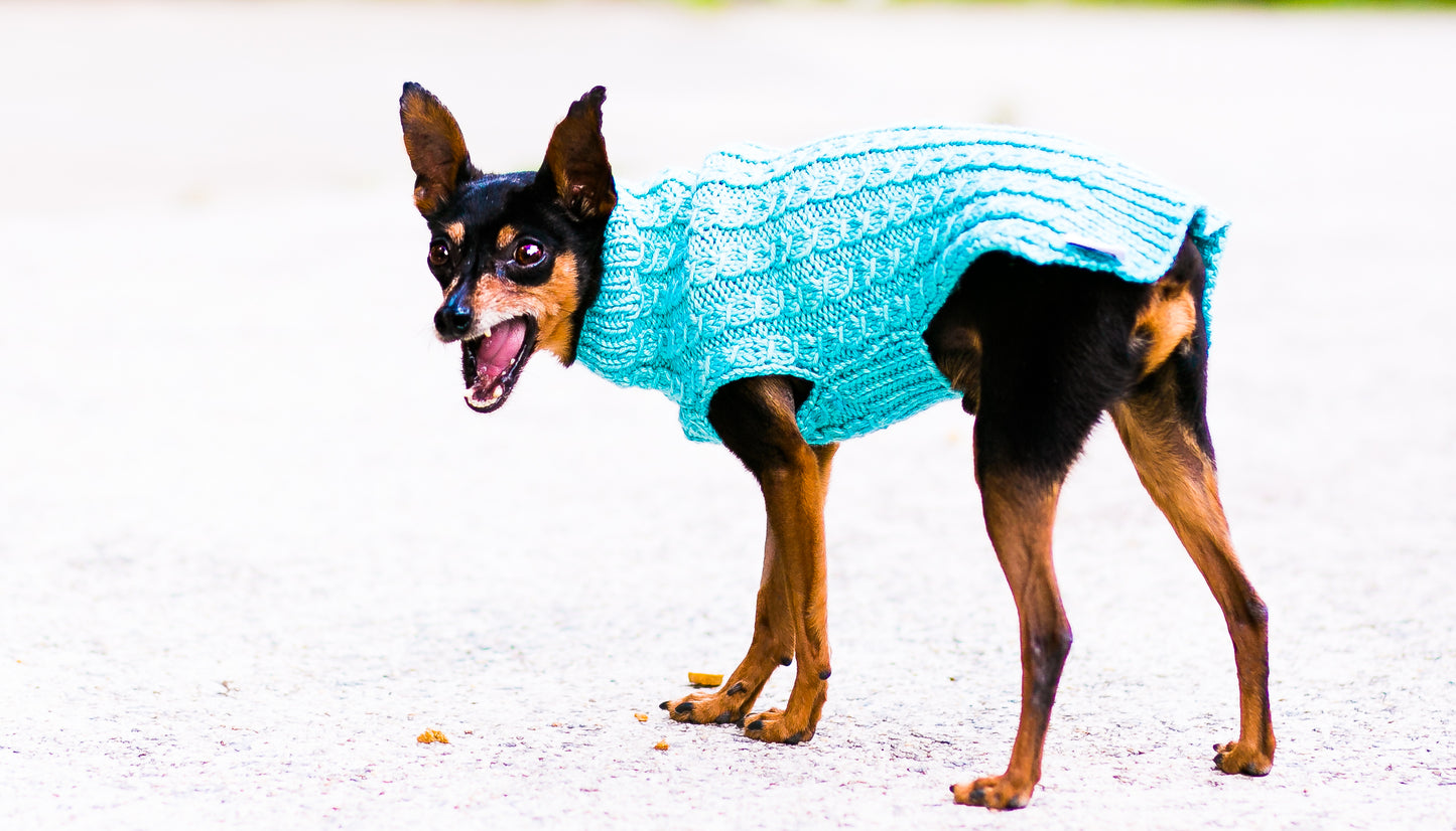Cat & Dog Pet Sweaters in West Wind