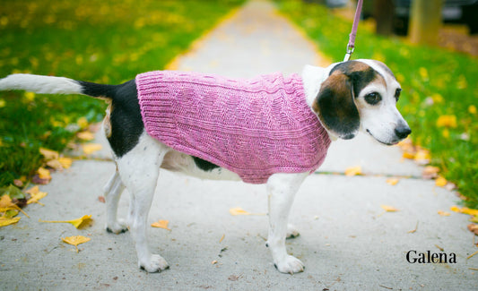 Cat & Dog Pet Sweaters Size Medium READY TO SHIP