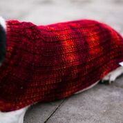 Cat & Dog Pet Sweaters in Lava Flow - LAST OF THIS COLORWAY!