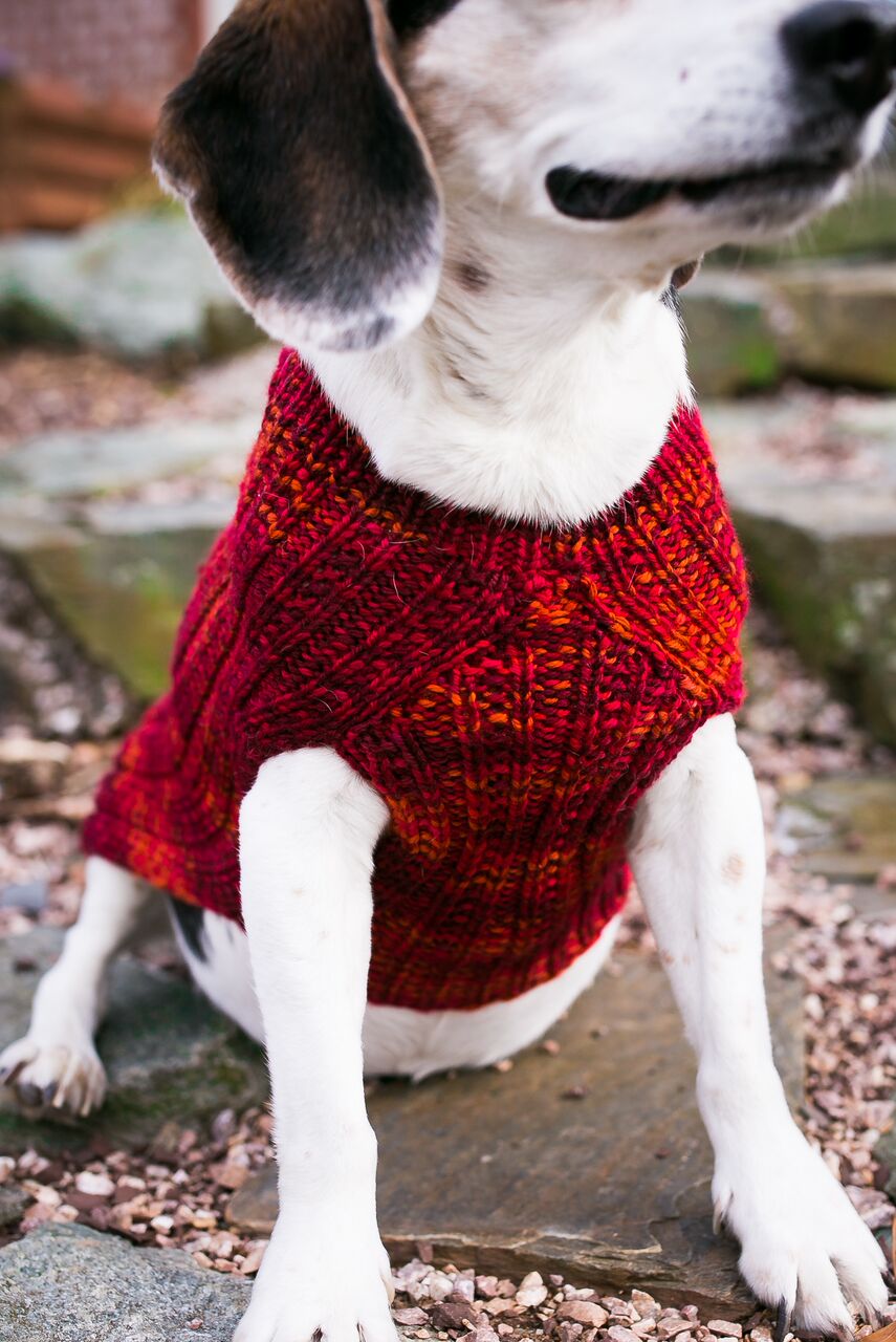 Cat & Dog Pet Sweaters in Lava Flow - LAST OF THIS COLORWAY!