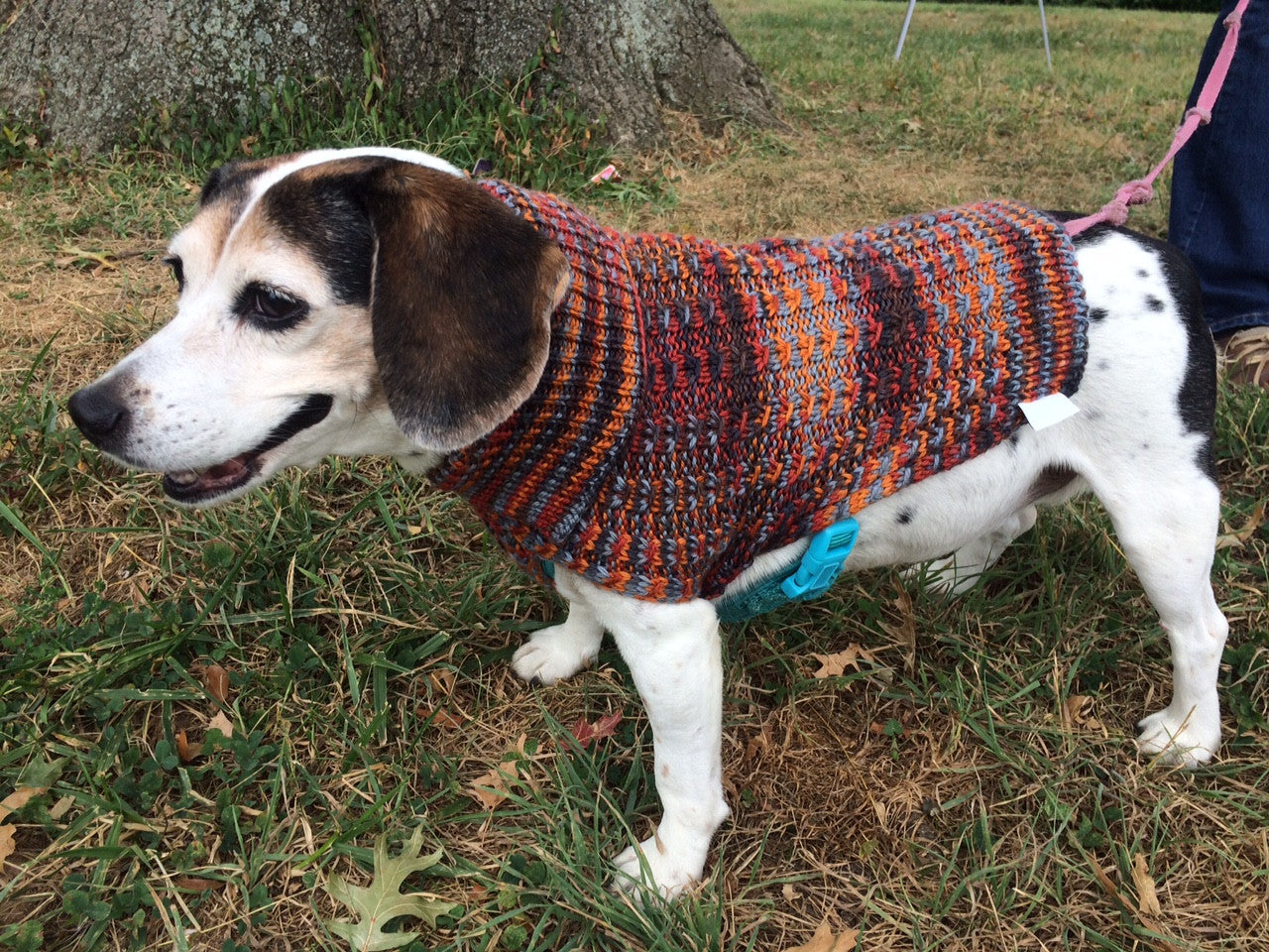 Cat & Dog Pet Sweaters in Pocket Square  - VERY LIMITED QUANTITY AND LAST OF THIS COLORWAY!