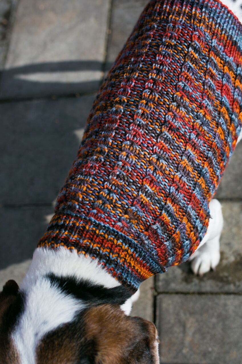 Cat & Dog Pet Sweaters in Pocket Square  - VERY LIMITED QUANTITY AND LAST OF THIS COLORWAY!