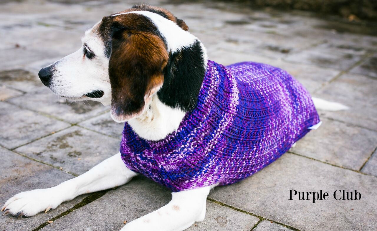 Cat & Dog Pet Sweaters Size Medium READY TO SHIP