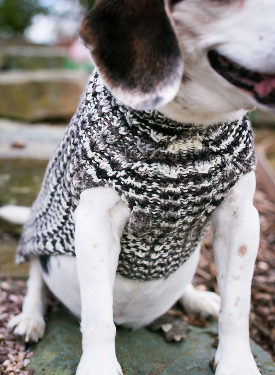 Cat & Dog Pet Sweaters in Shadow - LAST OF THIS COLORWAY!