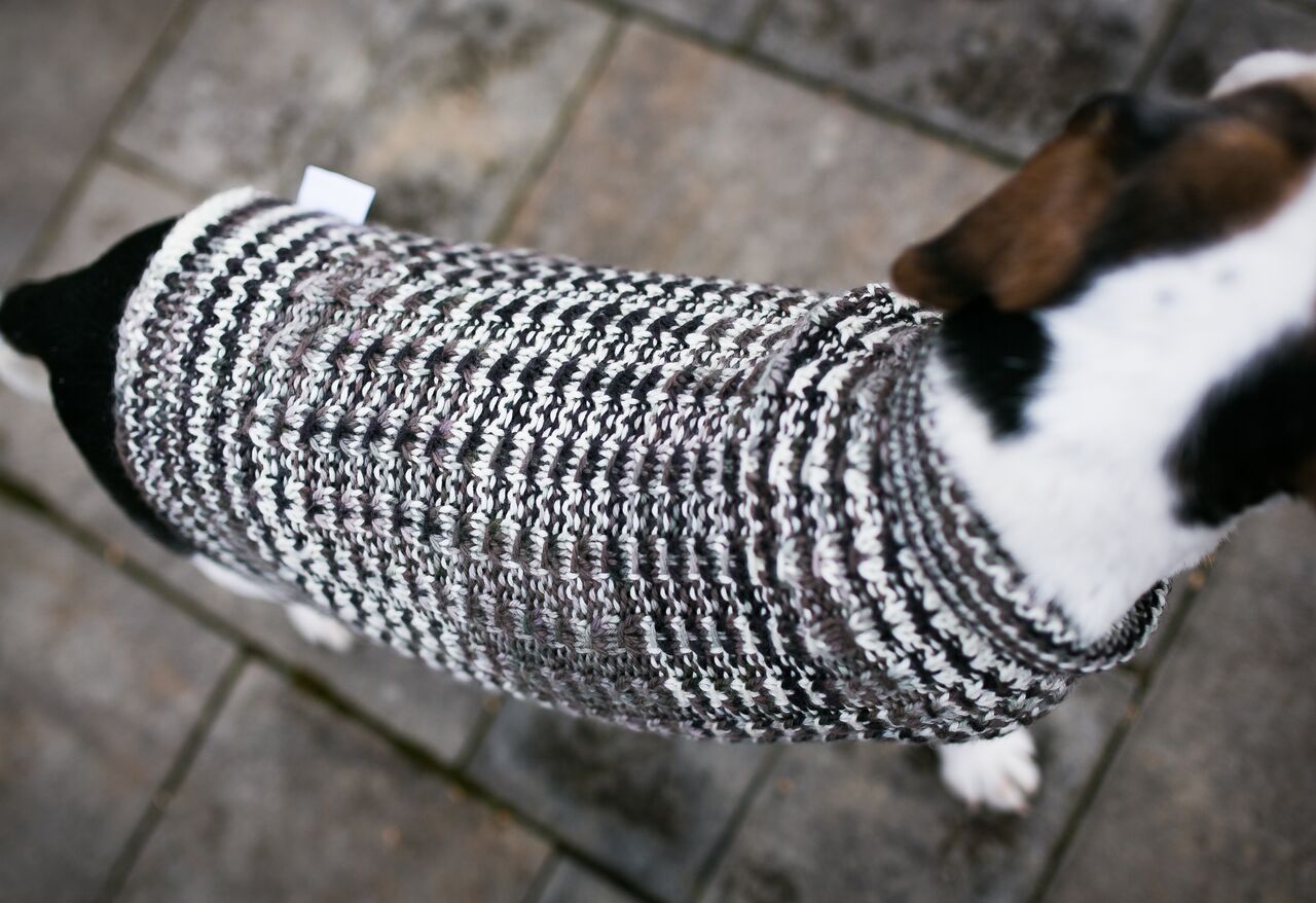 Cat & Dog Pet Sweaters in Shadow - LAST OF THIS COLORWAY!