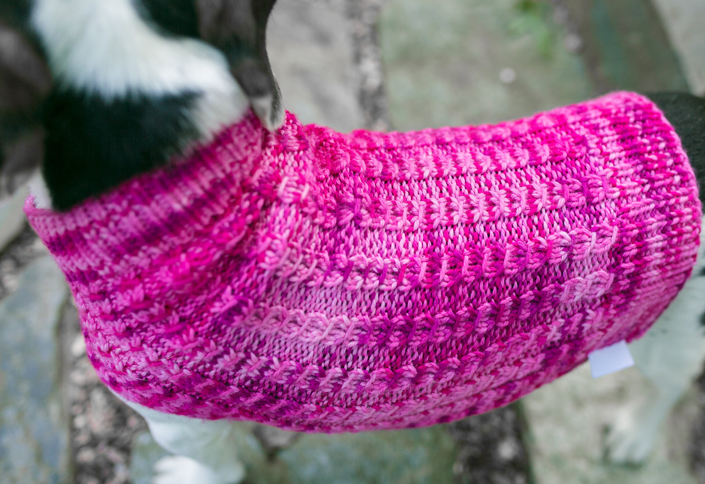 Cat & Dog Pet Sweaters in Tickled Pink - VERY LIMITED QUANTITY AND LAST OF THIS COLORWAY!