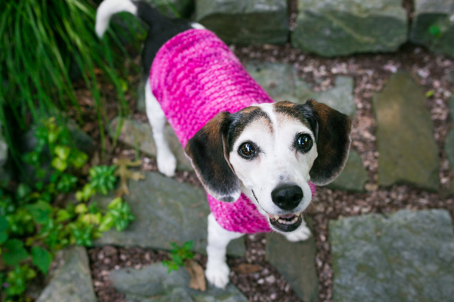 Cat & Dog Pet Sweaters in Tickled Pink - VERY LIMITED QUANTITY AND LAST OF THIS COLORWAY!