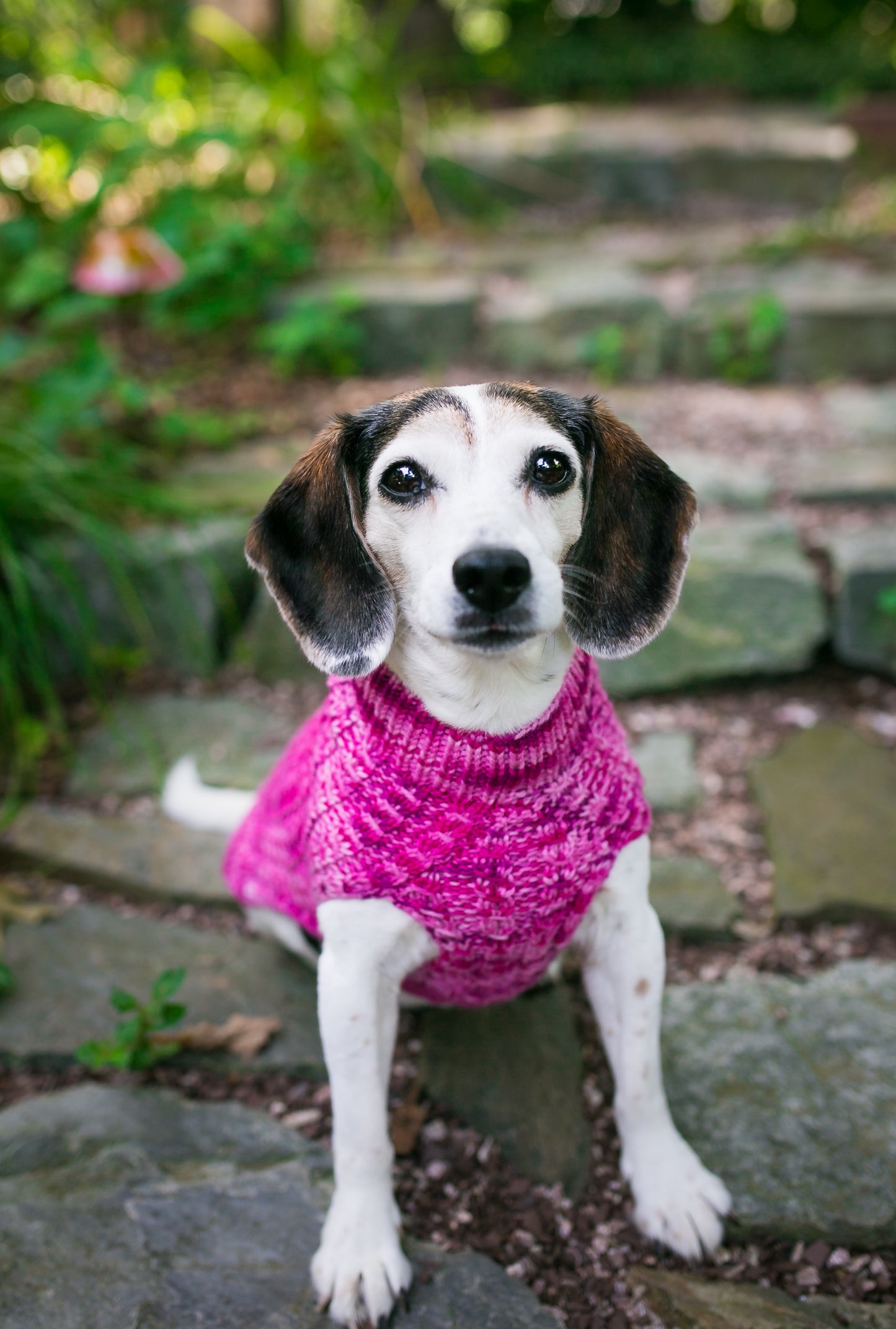 Cat & Dog Pet Sweaters in Tickled Pink - VERY LIMITED QUANTITY AND LAST OF THIS COLORWAY!