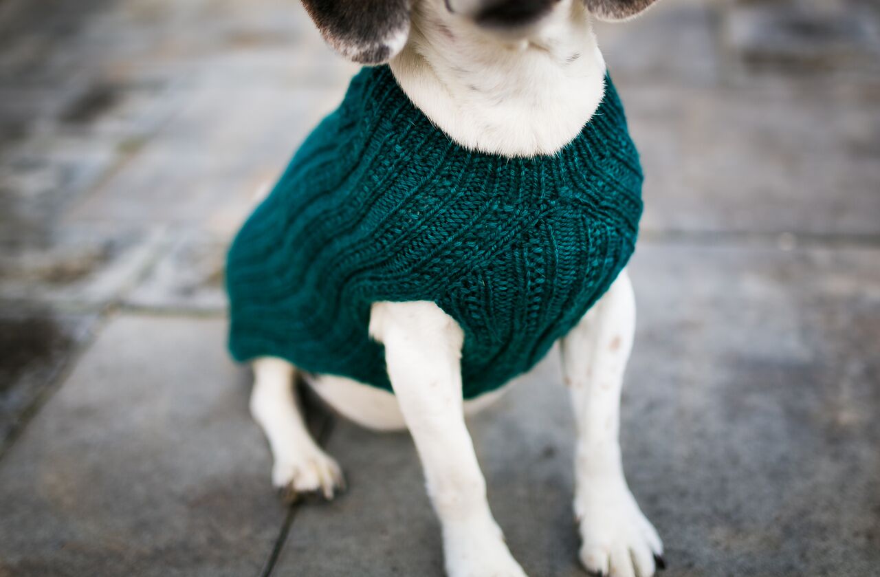 Cat & Dog Pet Sweaters in Waistcoat - LAST OF THIS COLORWAY!
