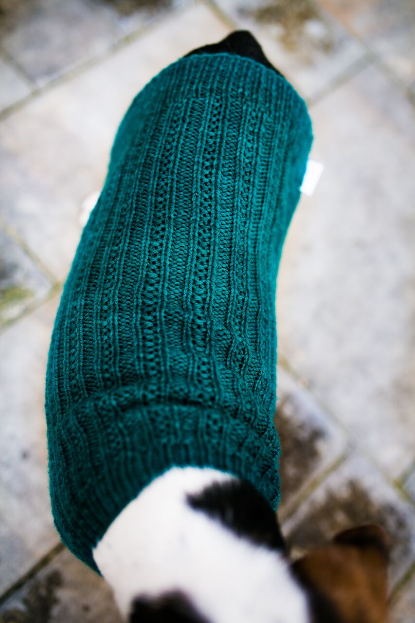 Cat & Dog Pet Sweaters in Waistcoat - LAST OF THIS COLORWAY!