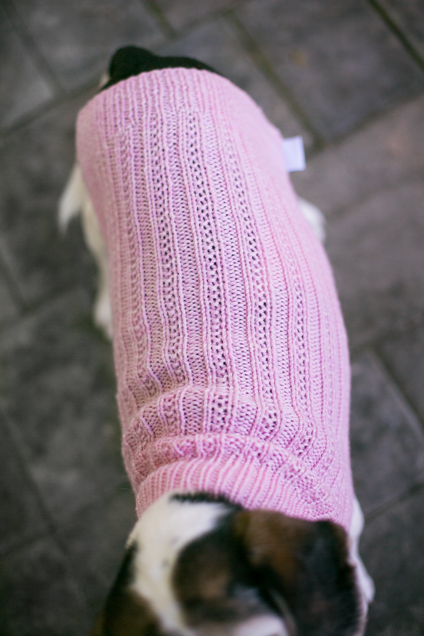 Cat & Dog Pet Sweaters in Whisper - LAST OF THIS COLORWAY!