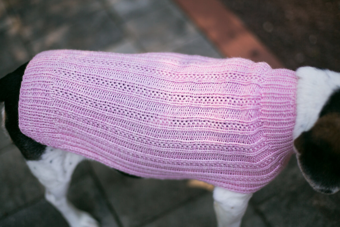 Cat & Dog Pet Sweaters in Whisper - LAST OF THIS COLORWAY!