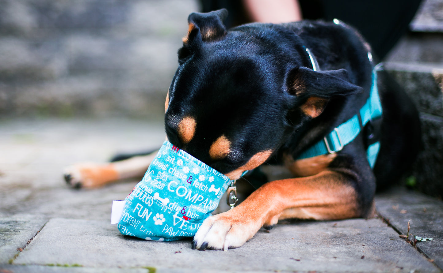 Fun Upgraded Treat and Pickup Bags Carry Pouch Dog Wisdom Aqua Blue Food Safe Waterproof Lining DHead Bolt