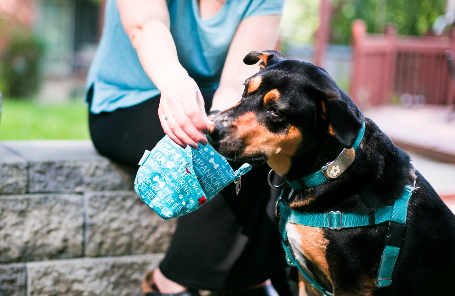 Fun Upgraded Treat and Pickup Bags Carry Pouch Dog Wisdom Aqua Blue Food Safe Waterproof Lining DHead Bolt