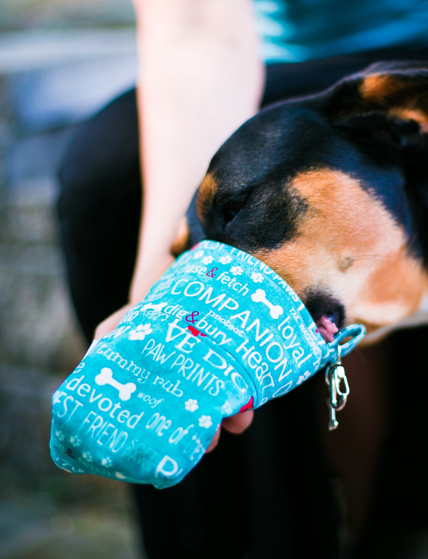 Fun Upgraded Treat and Pickup Bags Carry Pouch Dog Wisdom Aqua Blue Food Safe Waterproof Lining DHead Bolt
