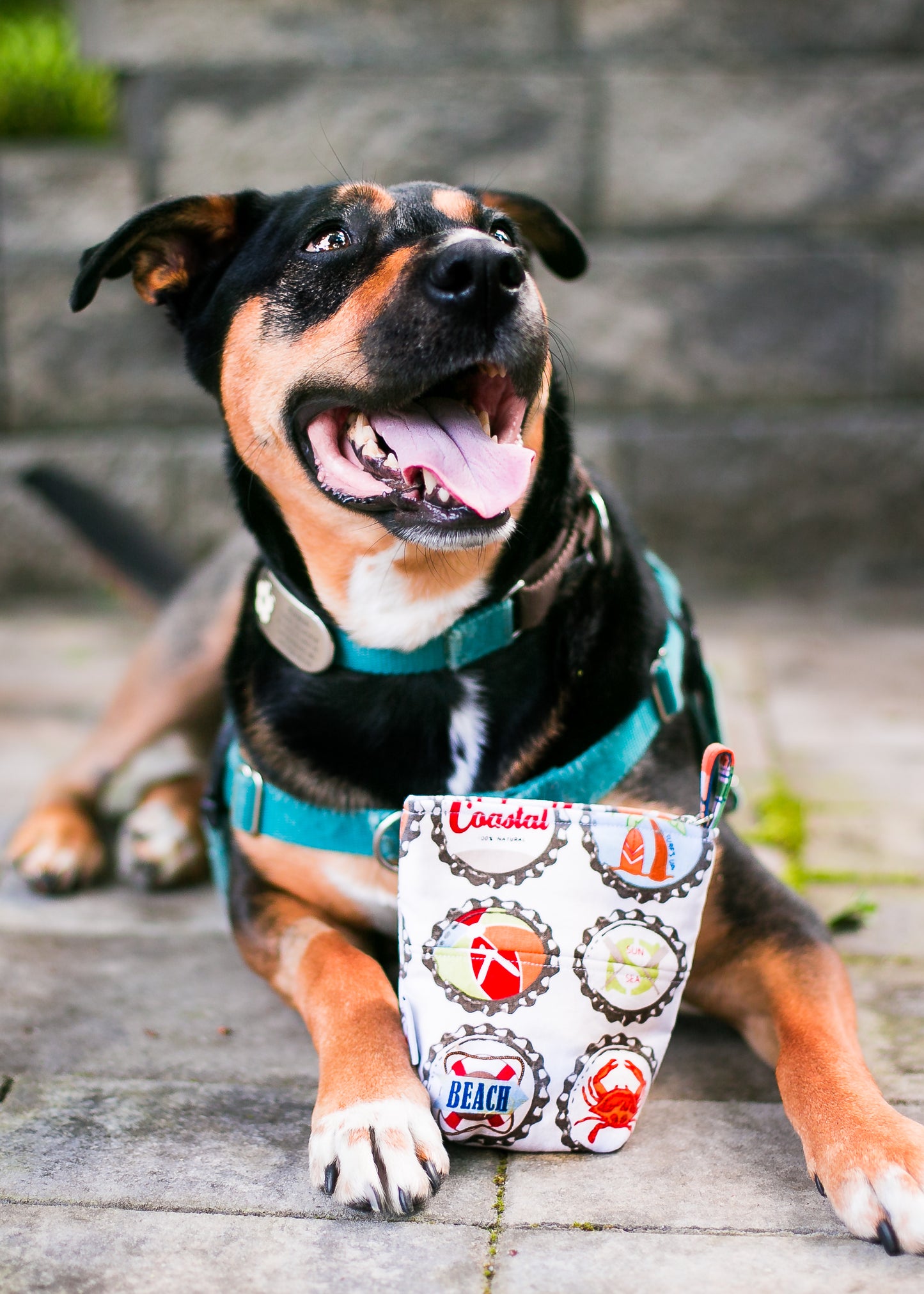 Fun Standard Treat and Pickup Bags Carry Pouch in Going Coastal Bottle Caps