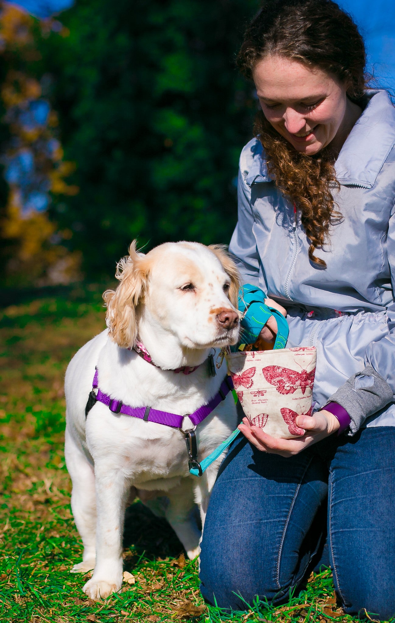 Fun Upgraded Treat and Pickup Bags Carry Pouch Pooch Pouch Accessory Leash Bag for Dog Waste Bags in Eclectic Elements Butterflight Butterfly Red Magnet Closure