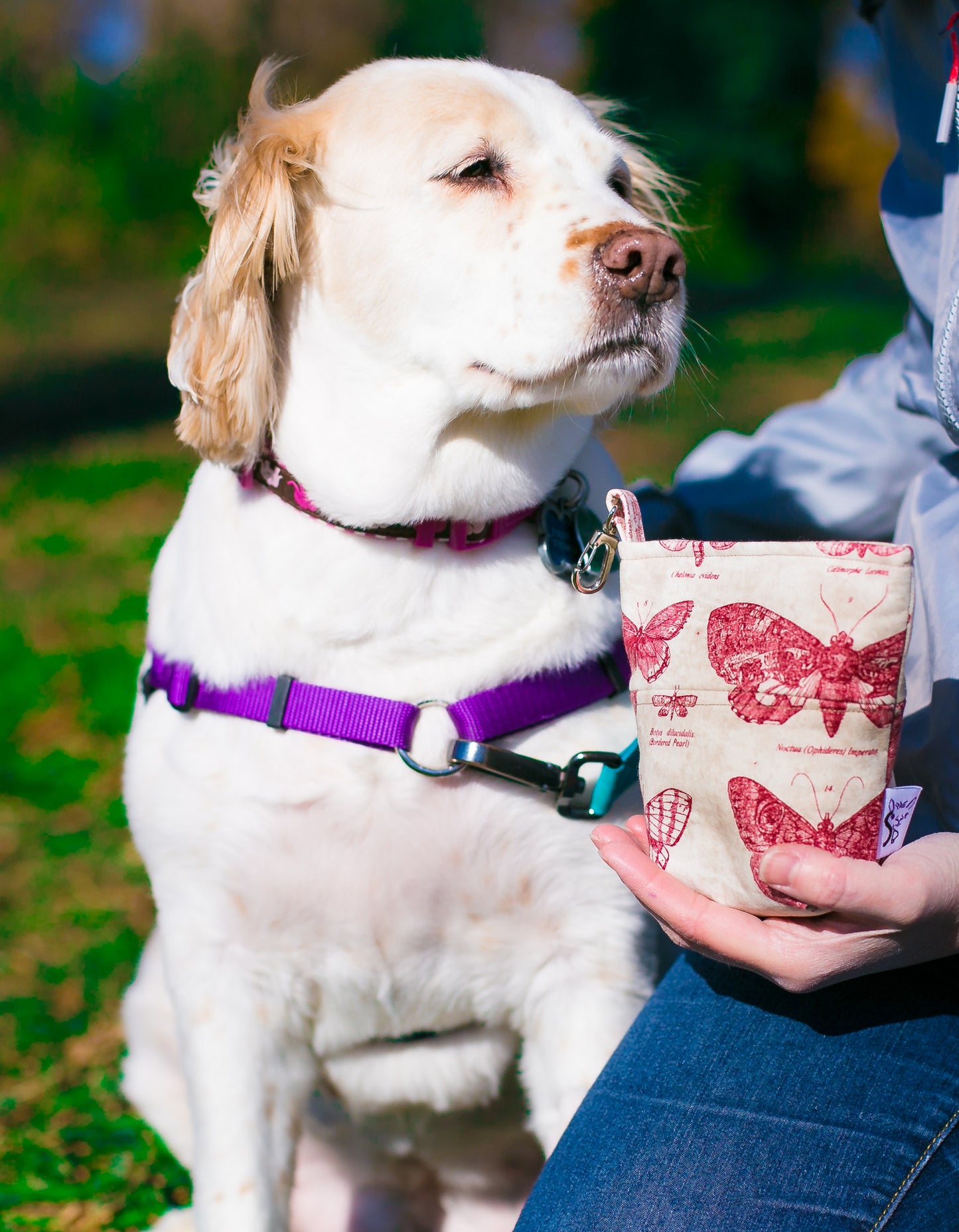 Fun Upgraded Treat and Pickup Bags Carry Pouch Pooch Pouch Accessory Leash Bag for Dog Waste Bags in Eclectic Elements Butterflight Butterfly Red Magnet Closure