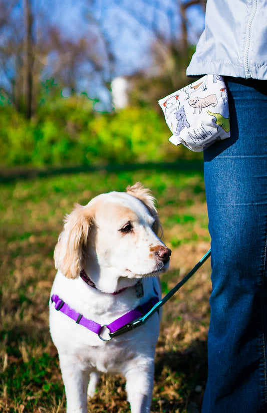 Fun Premium Treat and Pickup Bags Carry Pouch Food Safe Waterproof Lining Choice of Clasps Hipsta Dawg Hipster Dog