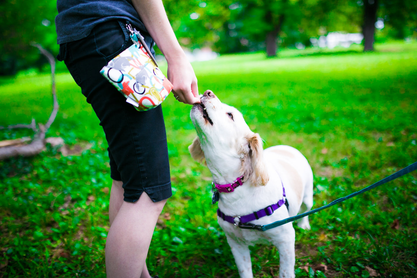Fun Premium Treat and Pickup Bags Carry Pouch Food Safe Waterproof Lining Choice of Clasps Woof