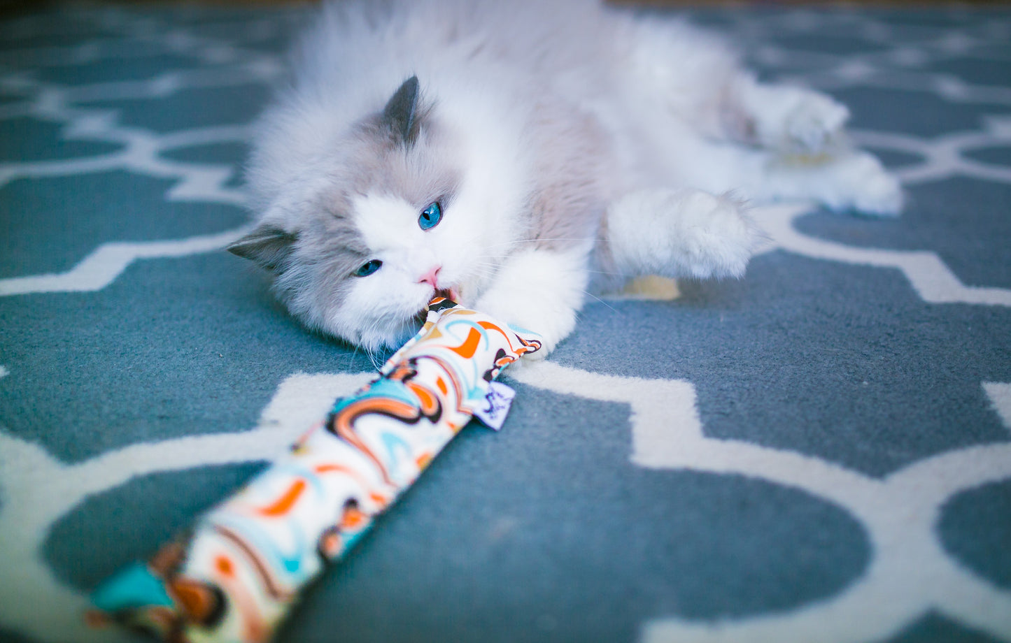 Twill Kitty Nip Kicker Catnip Toy in Potluck Colors