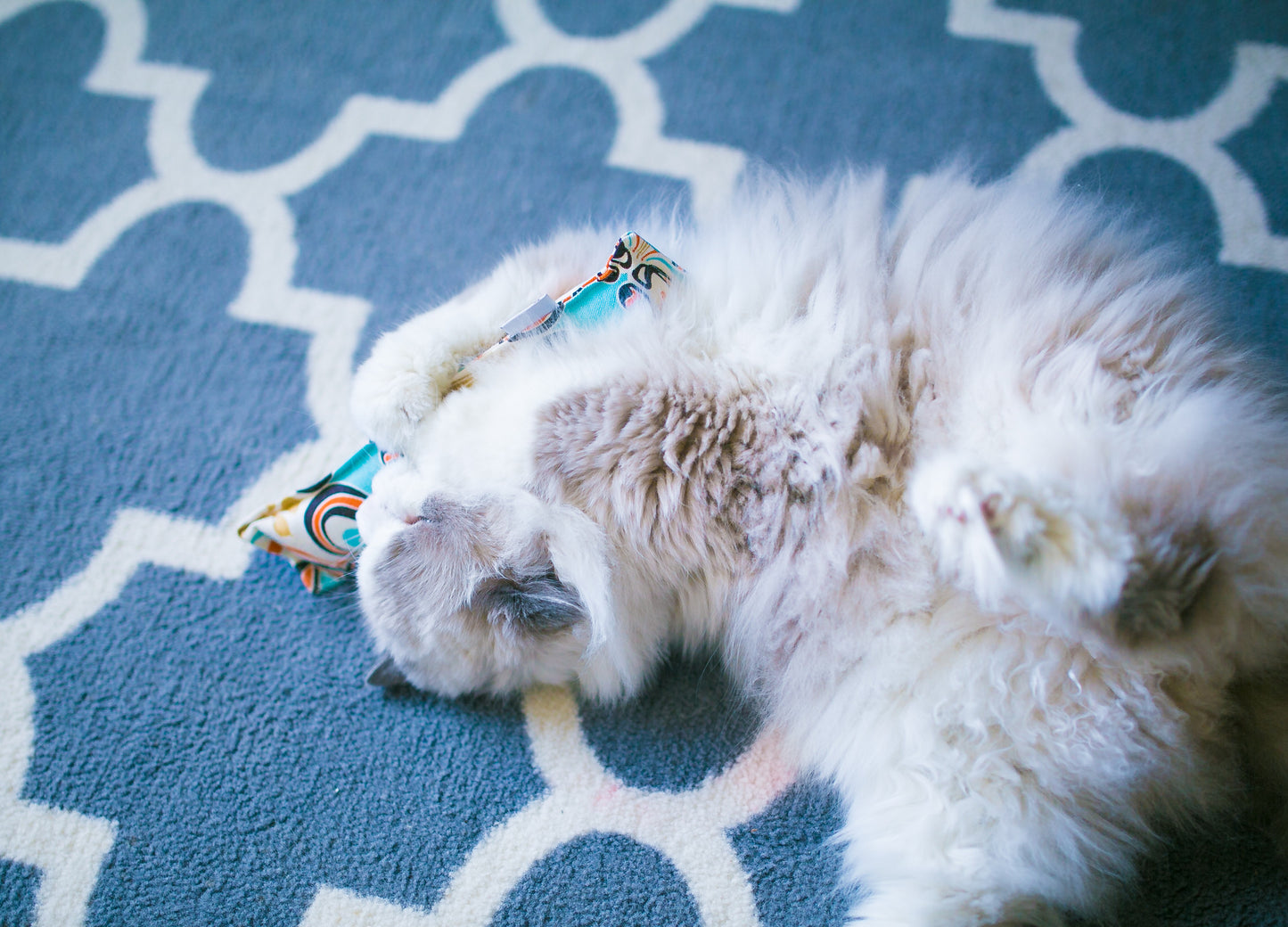 Twill Kitty Nip Kicker Catnip Toy in Powder Blue Osborne or Suzani